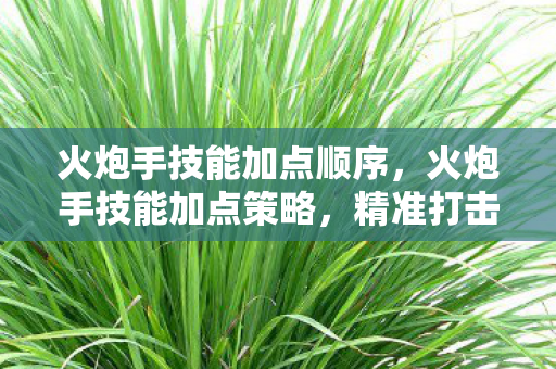 火炮手技能加点顺序，火炮手技能加点策略，精准打击，高效输出