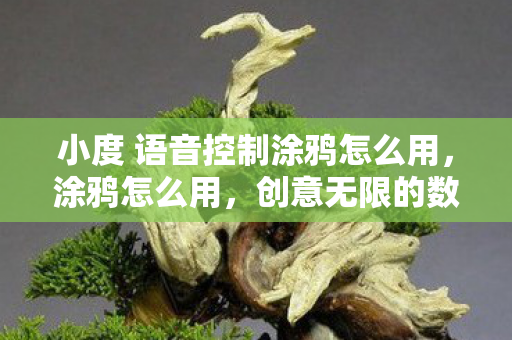 小度 语音控制涂鸦怎么用，涂鸦怎么用，创意无限的数字艺术实践