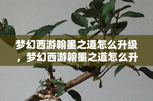 梦幻西游翰墨之道怎么升级，梦幻西游翰墨之道怎么升