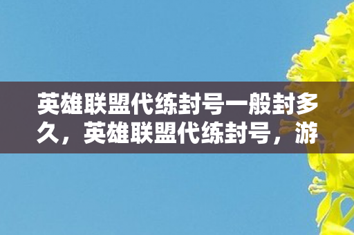 英雄联盟代练封号一般封多久，英雄联盟代练封号，游戏公平性的守护者
