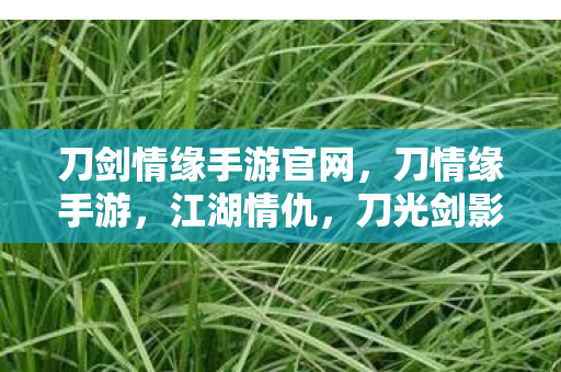 刀剑情缘手游官网，刀情缘手游，江湖情仇，刀光剑影中的浪漫情缘