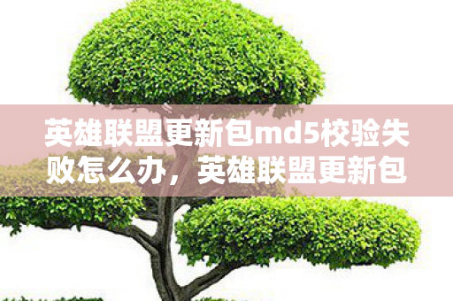 英雄联盟更新包md5校验失败怎么办，英雄联盟更新包MD5校验失败，保障游戏安全，维护玩家权益