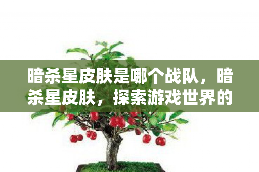 暗杀星皮肤是哪个战队，暗杀星皮肤，探索游戏世界的独特魅力