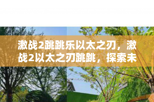 激战2跳跳乐以太之刃，激战2以太之刃跳跳，探索未知世界的冒险之旅
