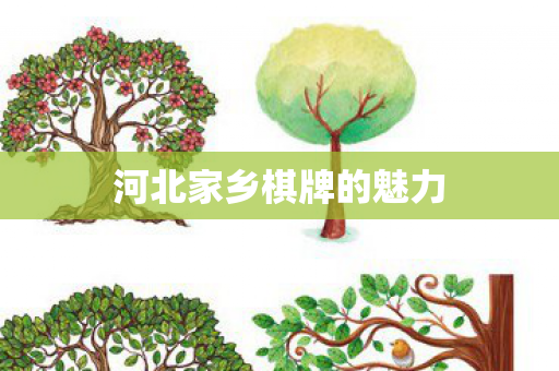 河北家乡棋牌的魅力