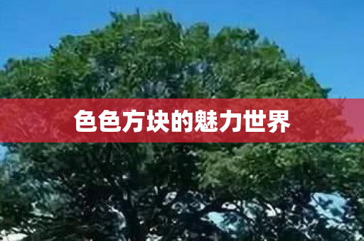 色色方块的魅力世界