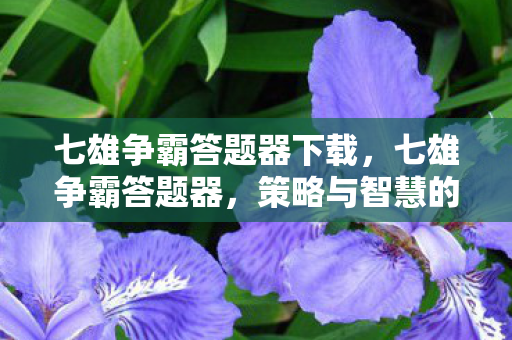七雄争霸答题器下载，七雄争霸答题器，策略与智慧的碰撞