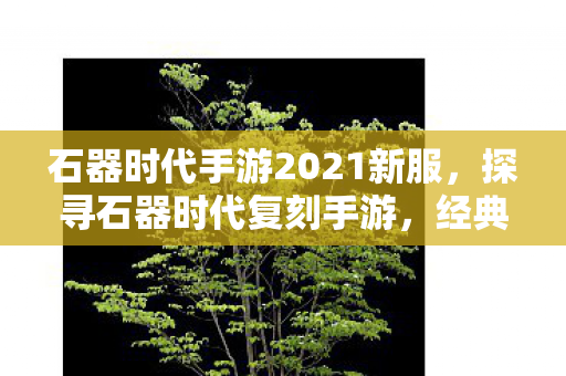 石器时代手游2021新服，探寻石器时代复刻手游，经典与创新的完美融合