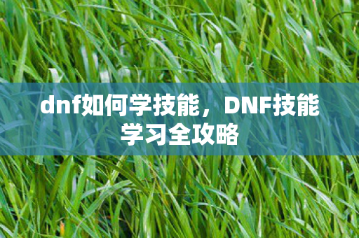 dnf如何学技能，DNF技能学习全攻略