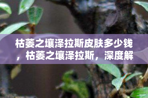 枯萎之壤泽拉斯皮肤多少钱，枯萎之壤泽拉斯，深度解析英雄背景与游戏策略