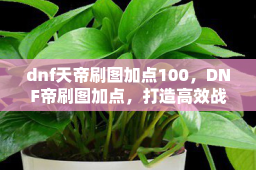 dnf天帝刷图加点100,DNF帝刷图加点,打造高效战斗力的关键 dnf天帝刷图加点100,DNF帝刷图加点,打造高效战斗力的关键