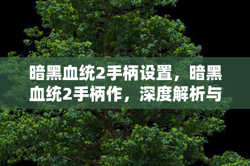 暗黑血统2手柄设置，暗黑血统2手柄作，深度解析与实战技巧