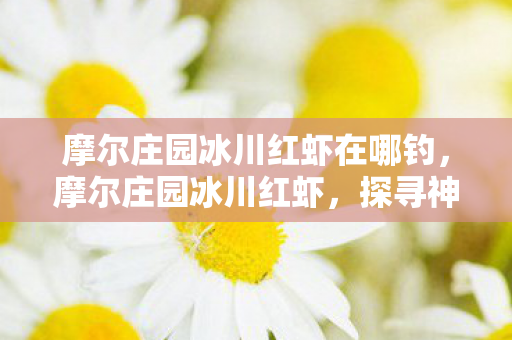 摩尔庄园冰川红虾在哪钓，摩尔庄园冰川红虾，探寻神秘水下的美味佳肴