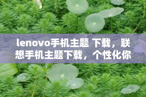 lenovo手机主题 下载，联想手机主题下载，个性化你的智能生活