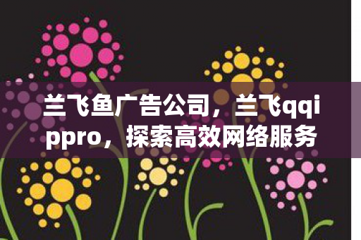 兰飞鱼广告公司，兰飞qqippro，探索高效网络服务的创新实践