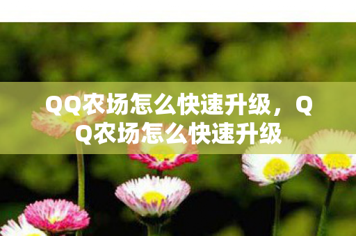 QQ农场怎么快速升级，QQ农场怎么快速升级