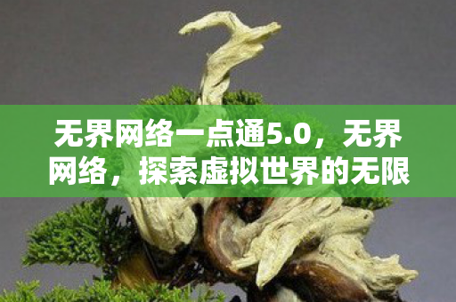 无界网络一点通5.0，无界网络，探索虚拟世界的无限可能