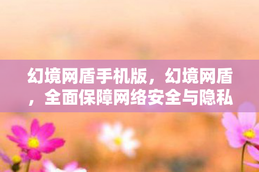 幻境网盾手机版，幻境网盾，全面保障网络安全与隐私的实用指南