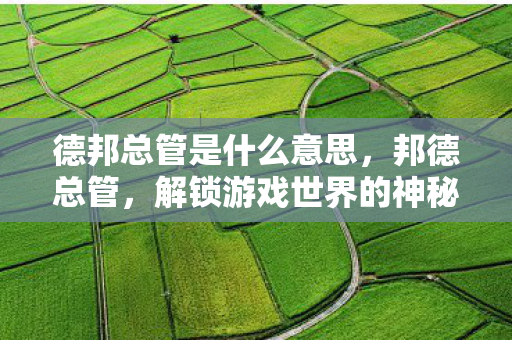 德邦总管是什么意思，邦德总管，解锁游戏世界的神秘钥匙
