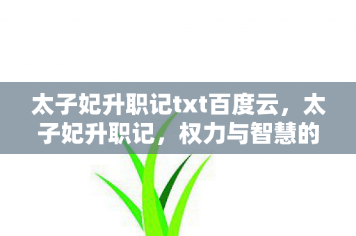 太子妃升职记txt百度云，太子妃升职记，权力与智慧的博弈