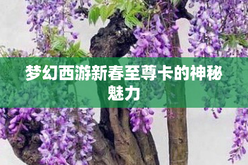 梦幻西游新春至尊卡的神秘魅力 梦幻西游新春至尊卡的神秘魅力