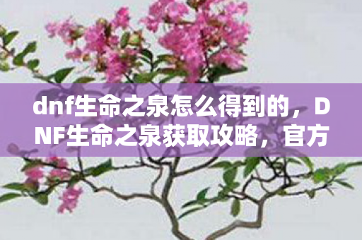 dnf生命之泉怎么得到的，DNF生命之泉获取攻略，官方途径与高效方法