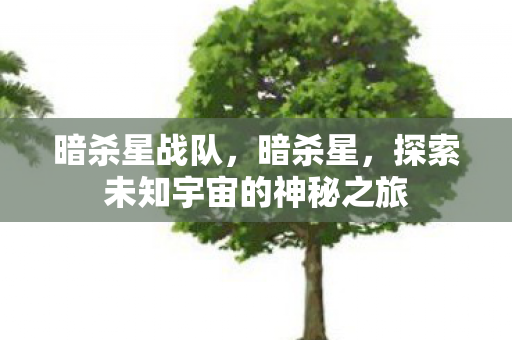 暗杀星战队，暗杀星，探索未知宇宙的神秘之旅