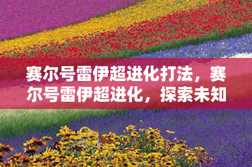 赛尔号雷伊超进化打法，赛尔号雷伊超进化，探索未知，挑战极限