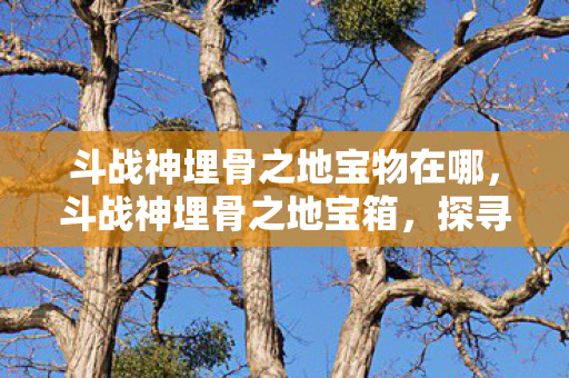 斗战神埋骨之地宝物在哪，斗战神埋骨之地宝箱，探寻神秘宝藏的冒险之旅