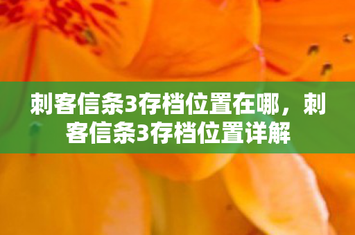 刺客信条3存档位置在哪,刺客信条3存档位置详解 刺客信条3存档位置在哪,刺客信条3存档位置详解