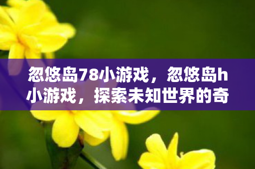 忽悠岛78小游戏，忽悠岛h小游戏，探索未知世界的奇妙之旅