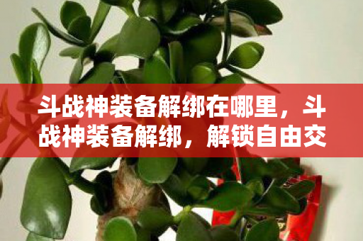 斗战神装备解绑在哪里，斗战神装备解绑，解锁自由交易的新篇章