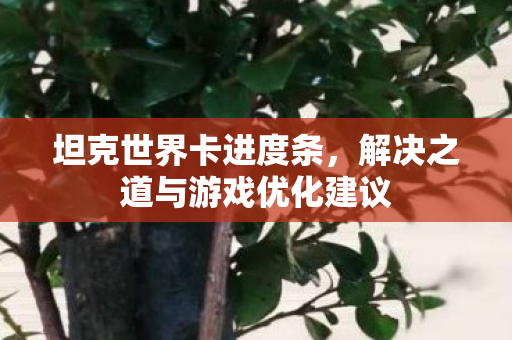 坦克世界卡进度条，解决之道与游戏优化建议
