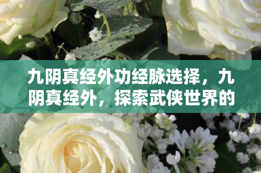 九阴真经外功经脉选择，九阴真经外，探索武侠世界的另类选择