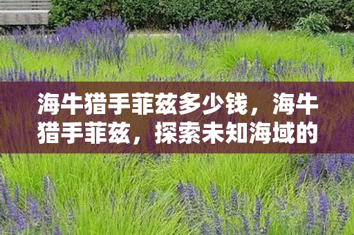 海牛猎手菲兹多少钱，海牛猎手菲兹，探索未知海域的传奇猎手