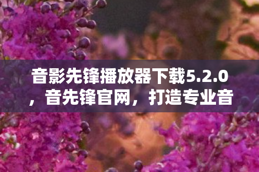 音影先锋播放器下载5.2.0，音先锋官网，打造专业音响设备的卓越平台