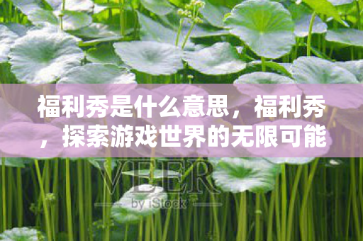 福利秀是什么意思，福利秀，探索游戏世界的无限可能