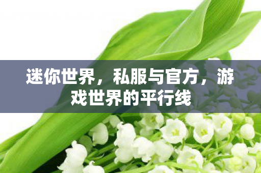 迷你世界，私服与官方，游戏世界的平行线