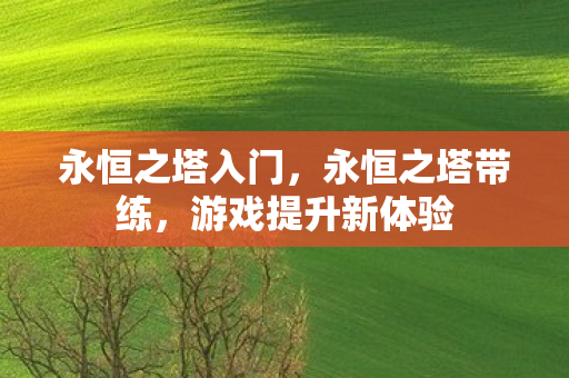 永恒之塔入门，永恒之塔带练，游戏提升新体验