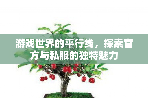 游戏世界的平行线，探索官方与私服的独特魅力