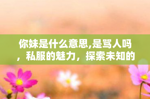 你妹是什么意思,是骂人吗，私服的魅力，探索未知的游戏世界