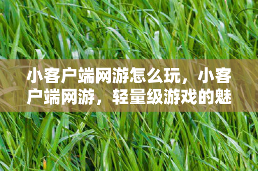 小客户端网游怎么玩，小客户端网游，轻量级游戏的魅力与未来展望