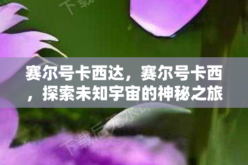 赛尔号卡西达，赛尔号卡西，探索未知宇宙的神秘之旅