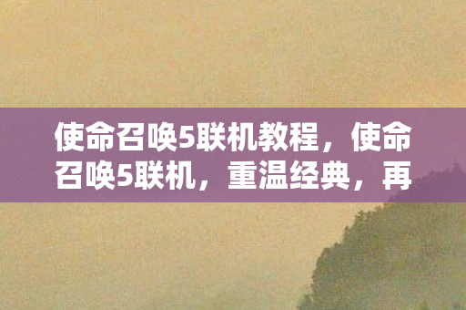 使命召唤5联机教程，使命召唤5联机，重温经典，再战战场