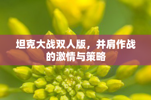 坦克大战双人版，并肩作战的激情与策略