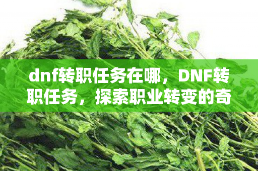 dnf转职任务在哪，DNF转职任务，探索职业转变的奇妙之旅