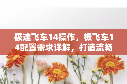 极速飞车14操作，极飞车14配置需求详解，打造流畅游戏体验