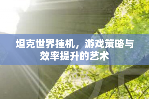 坦克世界挂机，游戏策略与效率提升的艺术