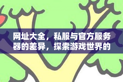 网址大全，私服与官方服务器的差异，探索游戏世界的不同维度