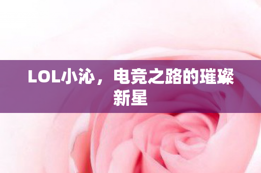 LOL小沁,电竞之路的璀璨新星 LOL小沁,电竞之路的璀璨新星